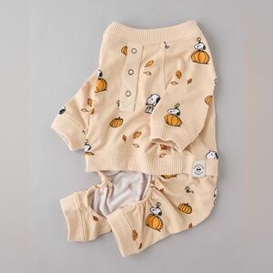 AE Plush Snoopy Peanuts Fall Pumpkin Pajamas Pet Size S NWT